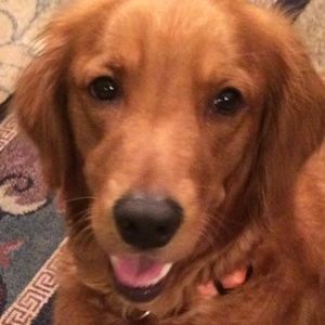 Meet your Posher, Kathy